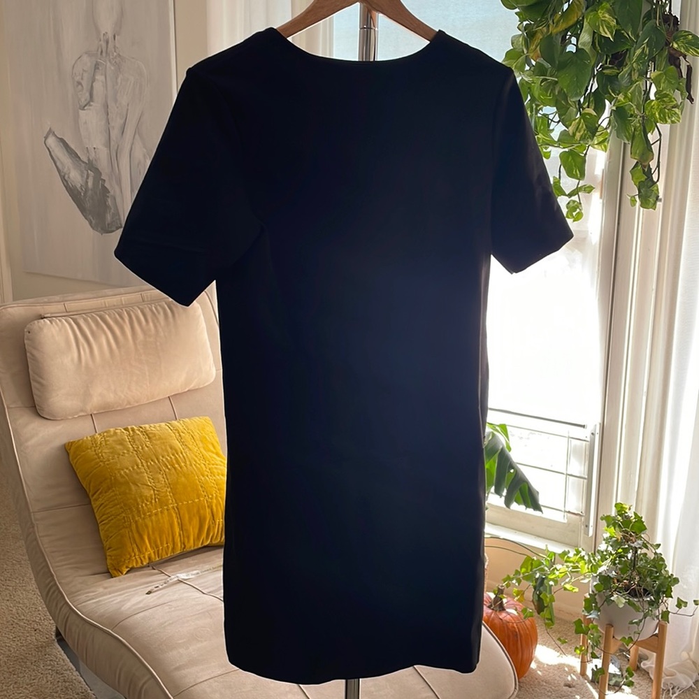 Everlane: Black Dress